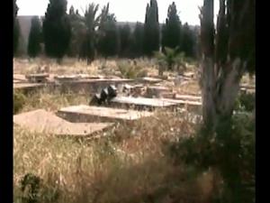 ORAN TAMAZOUHET 27